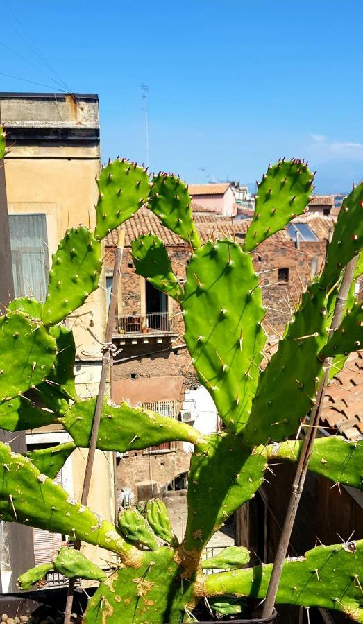 Fera O' Luni Panzió Catania-Fontanarossai nemzetközi repülőtér Kültér fotó